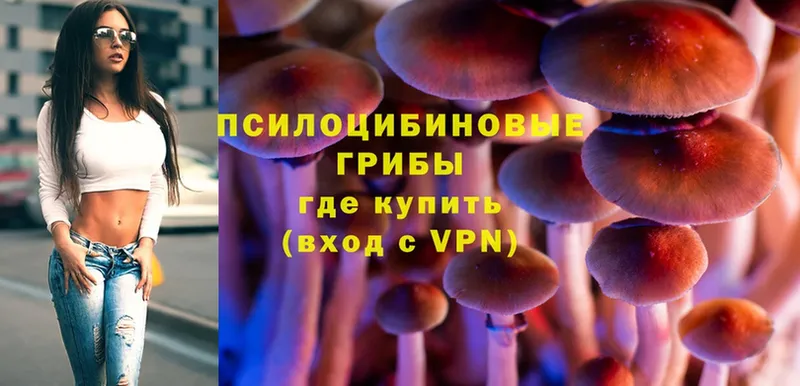 дарнет шоп  Исилькуль  МЕГА зеркало  Галлюциногенные грибы Psilocybine cubensis 